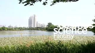 기자(記者) 나라와 신(神)문명 4편 - 지구에서의 마지막 여정