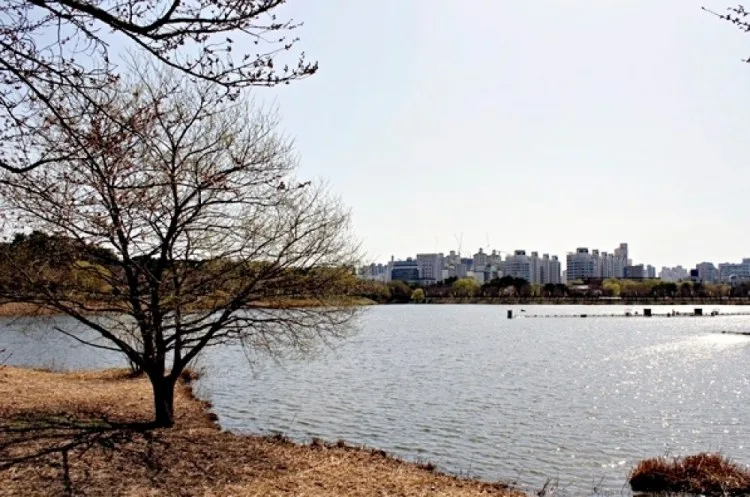 인류의 숨겨진 하나 신(神)과 초고도 문명 (2)