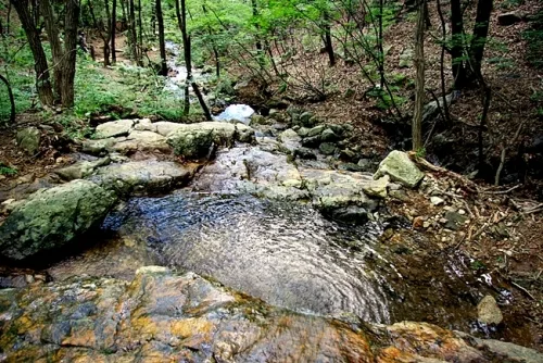 물의 고장, 물의 도시 수원(水原)의 기원