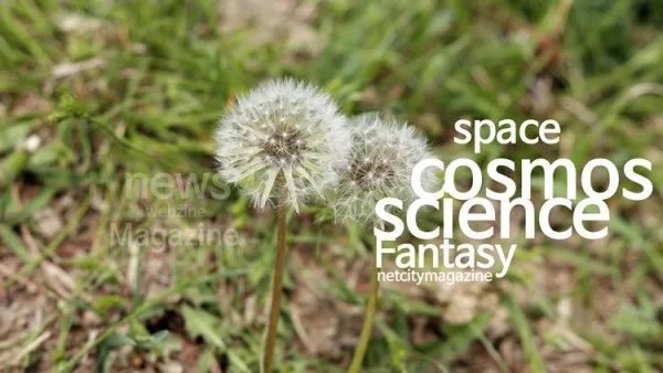 기자(記者) 나라와 신(神)문명 2편 - 1인 매체 시대의 도래