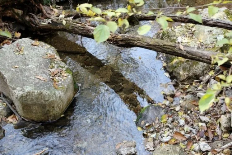 “그들은 뿌리 깊은 왕조를 좋아하지 않는다” ②
