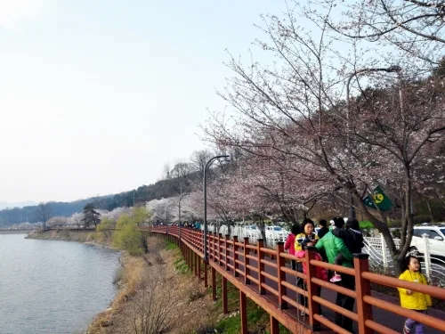 물빛의 아름다움, 호젓한 수변산책로의 유혹