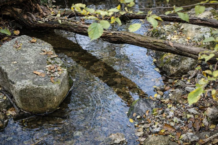 인류의 위기, 지옥의 길목과 생존을 위한 방법론
