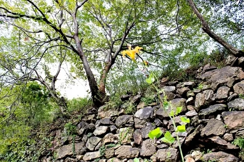 700여년의 역사를 가진 광교산 고려 창성사지 가다