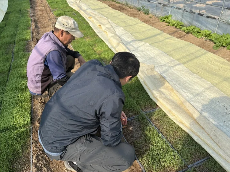 포천시농업기술센터, 벼 발아율 저하 대비 안전육묘 현장기술지원 강화