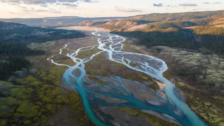 보편적 인류라는 환상 뒤에 숨겨진 130만의 진실: 생명의 근원적 분화에 대하여