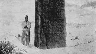 마지막을 고했던 찬란하게 빛났던 인류의 역사