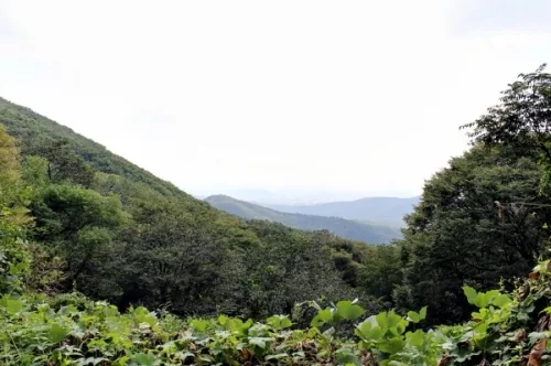 광교산(光敎山)의 의미를 되새겨보자