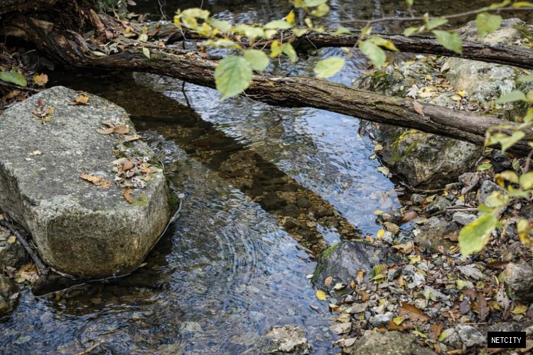 '물고을' 수원(水原)의 기원 - 지구만 말하는 것은 아니다